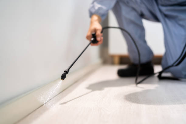 Licensed Fumigation Services service in Valencia, NM - Nex Pest Control
